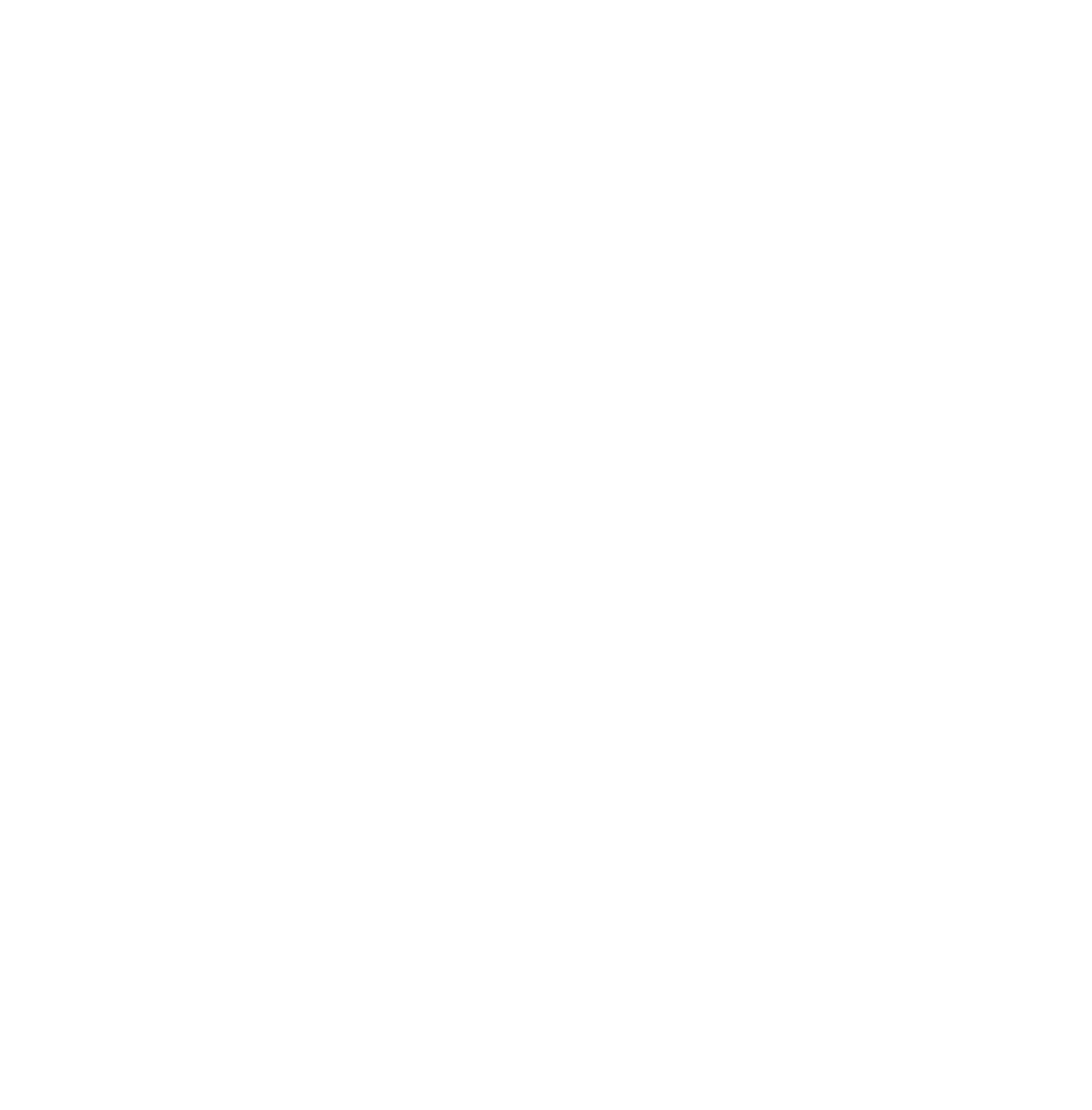 Crow's Nest Studio Logo (White)